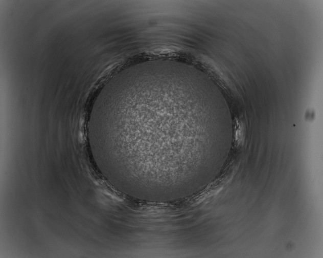 X0000101440819200807141304