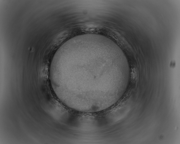 X0000101440820200807141304