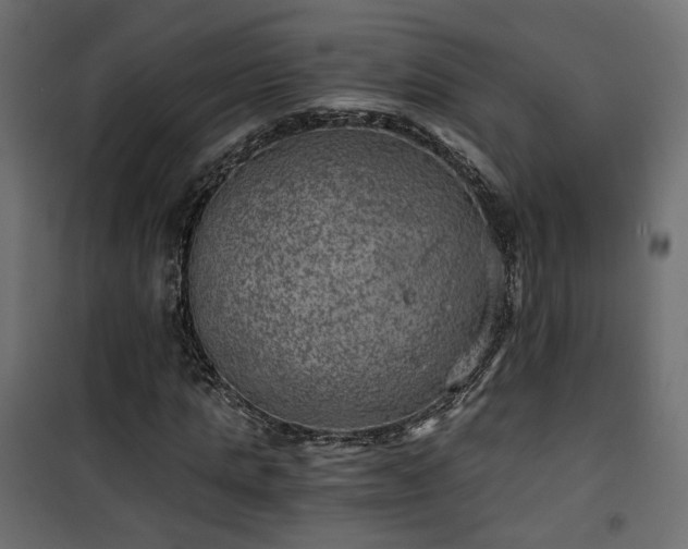 X0000101440821200807141304