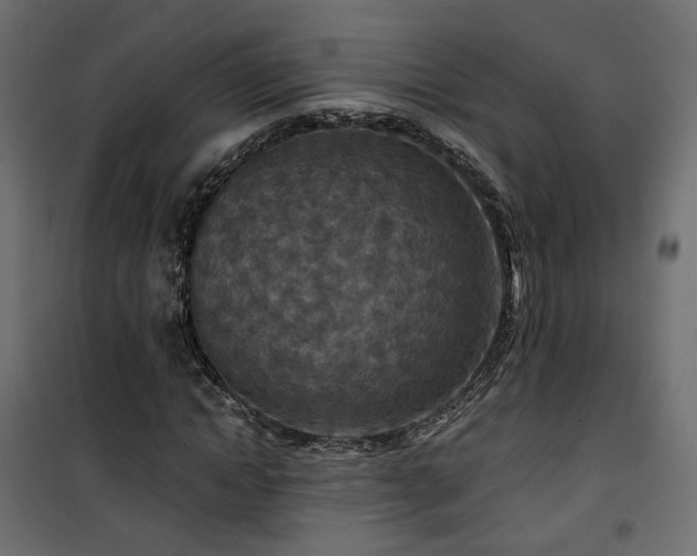 X0000101440822200807141304