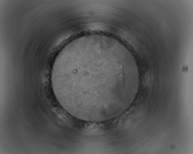 X0000101440824200807141304