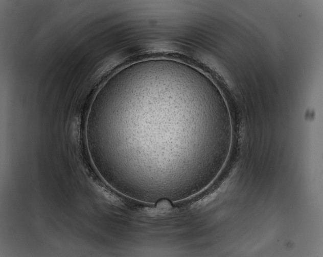 X0000101440825200807141304