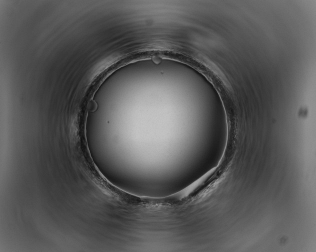 X0000101440826200807141304