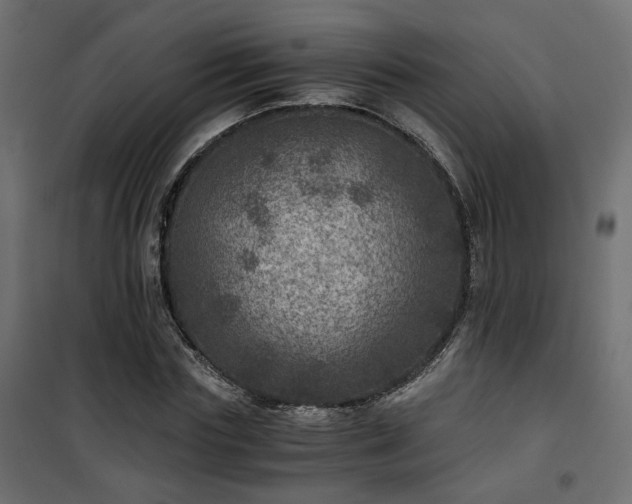 X0000101440827200807141304