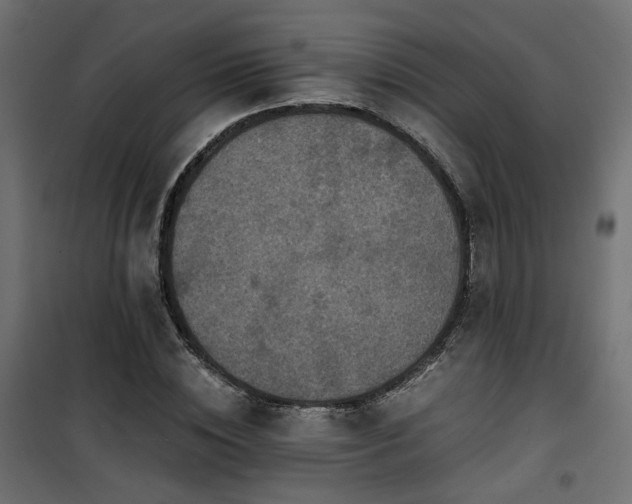 X0000101440828200807141304