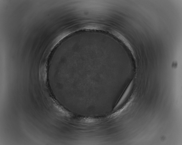 X0000101440829200807141304