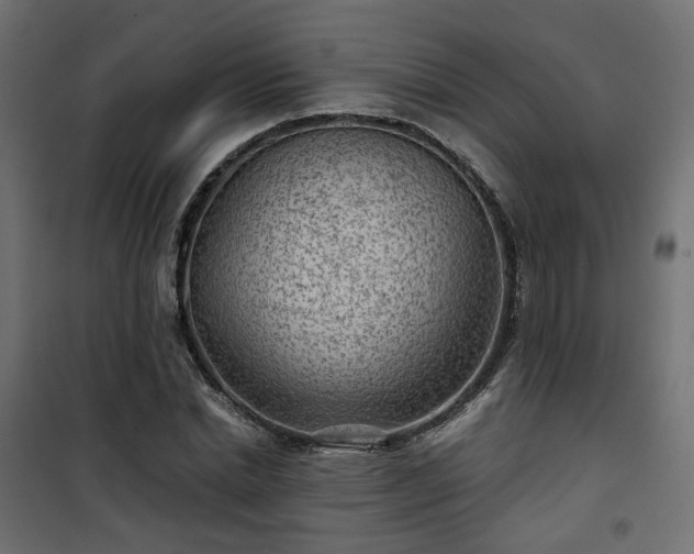 X0000101440830200807141304