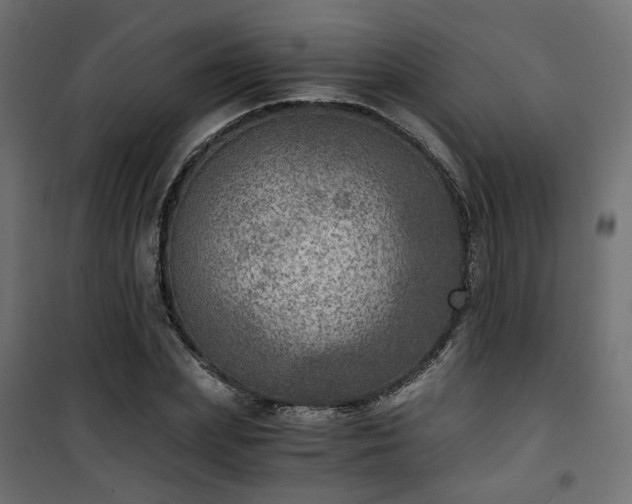 X0000101440831200807141304