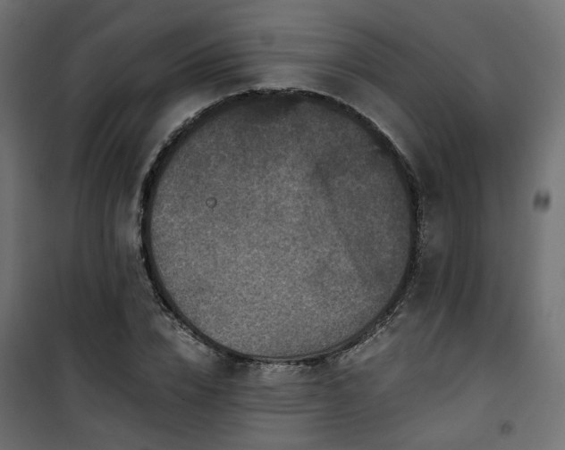 X0000101440832200807141304