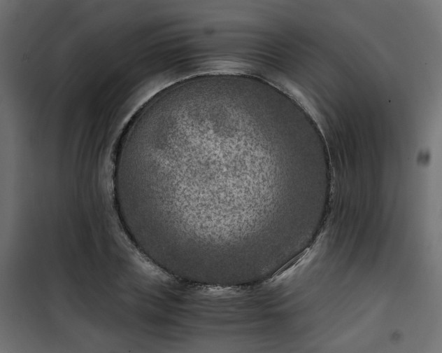 X0000101440835200807141304