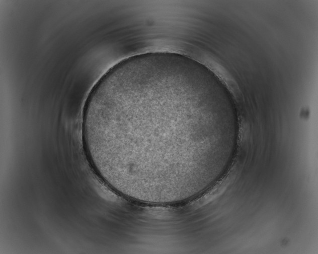 X0000101440836200807141304