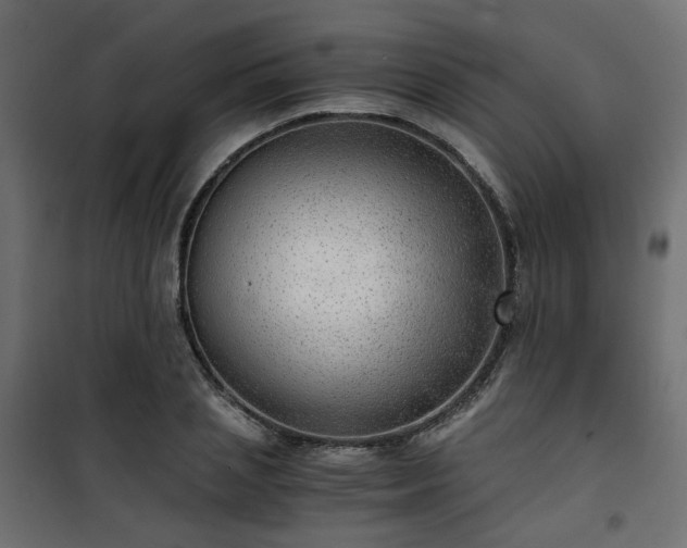 X0000101440837200807141304