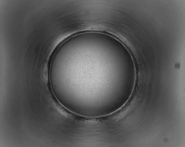 X0000101440838200807141304