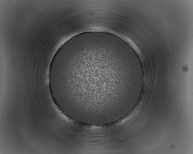 X0000101440839200807141304