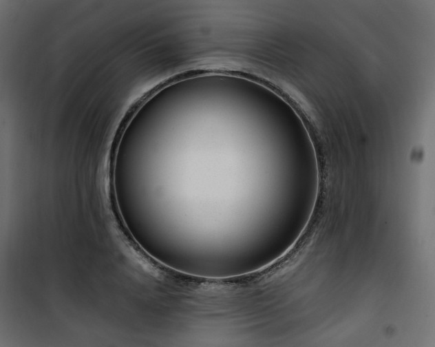 X0000101440840200807141304