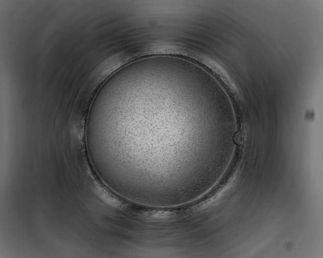 X0000101440841200807141304