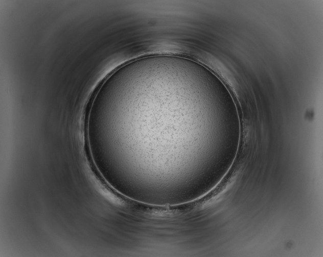 X0000101440843200807141304