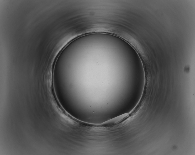 X0000101440844200807141304