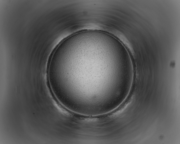 X0000101440845200807141304