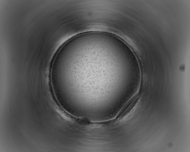 X0000101440846200807141304