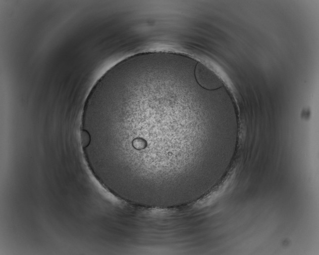 X0000101440847200807141304