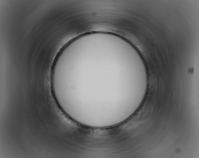 X0000101440848200807141304