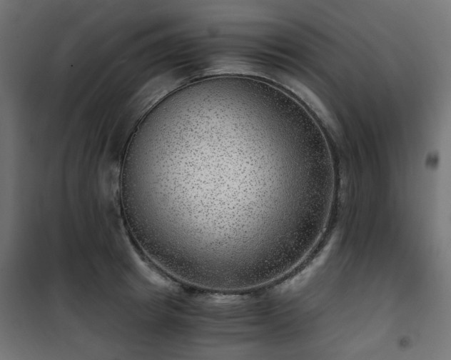 X0000101440849200807141304