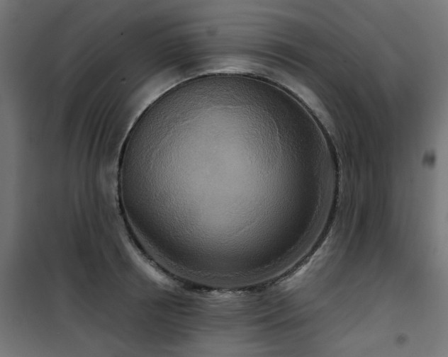 X0000101440850200807141304