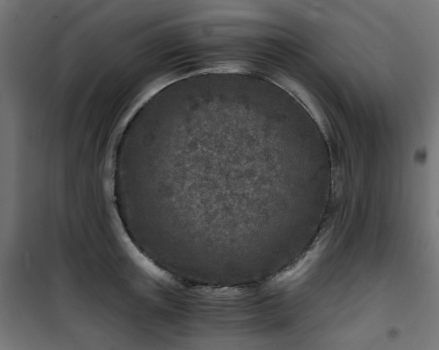 X0000101440851200807141304