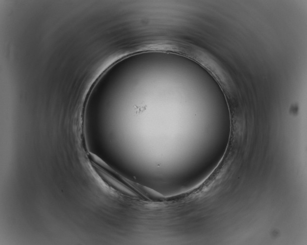 X0000101440852200807141304