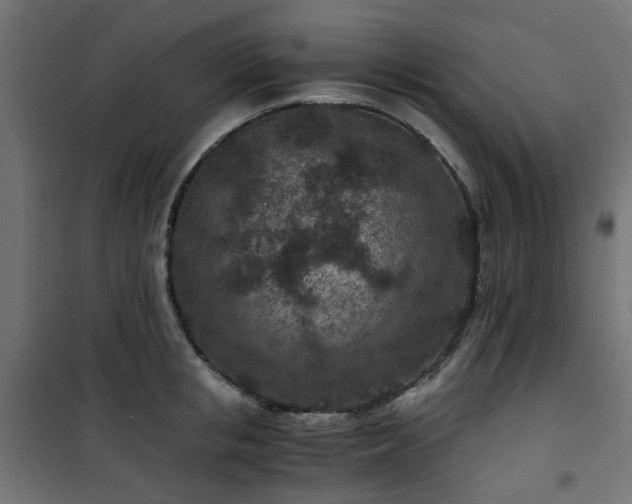 X0000101440853200807141304