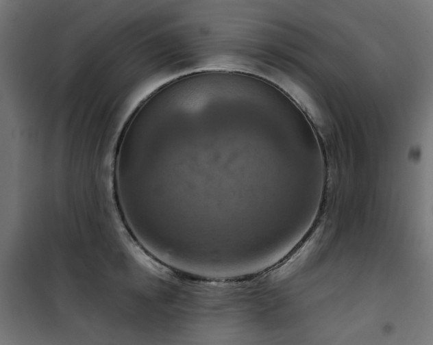 X0000101440854200807141304