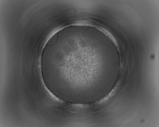 X0000101440855200807141304