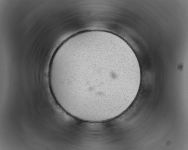 X0000101440856200807141304