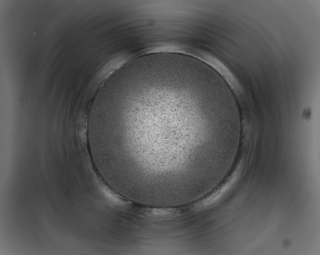 X0000101440857200807141304