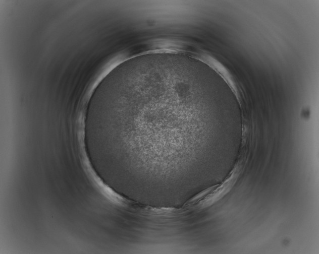 X0000101440859200807141304