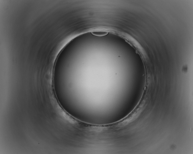 X0000101440860200807141304