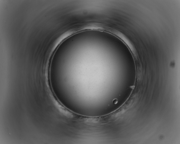 X0000101440861200807141304