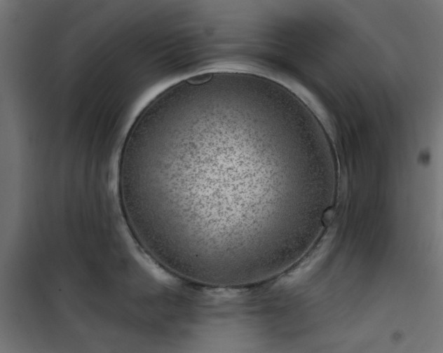 X0000101440862200807141304