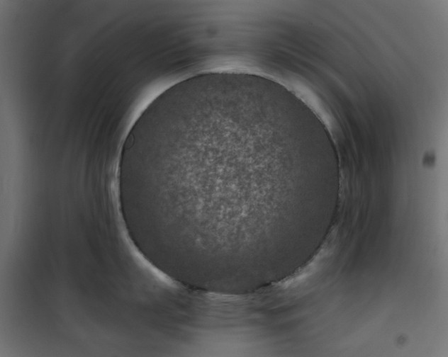 X0000101440863200807141304