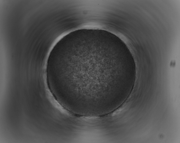 X0000101440864200807141304