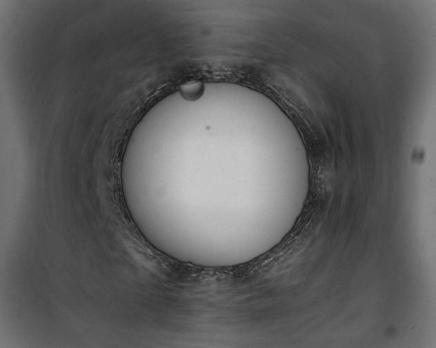 X0000101440865200807141304