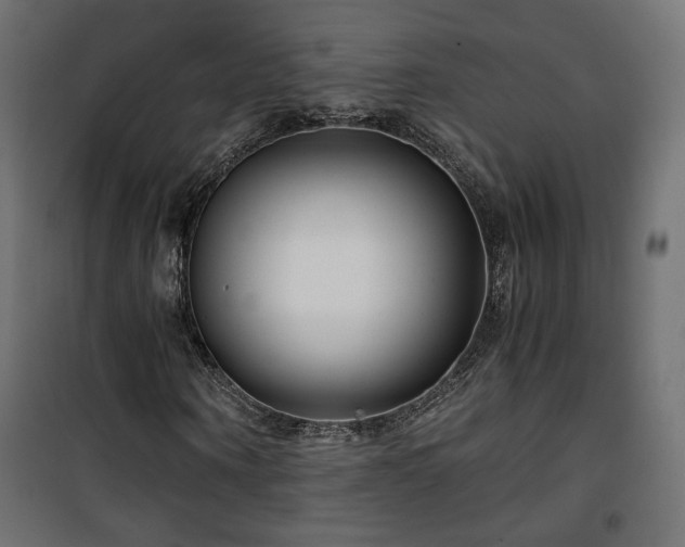 X0000101440866200807141304