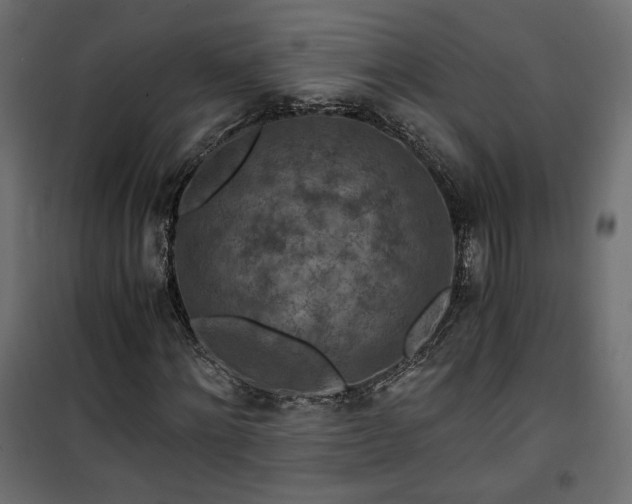 X0000101440868200807141304