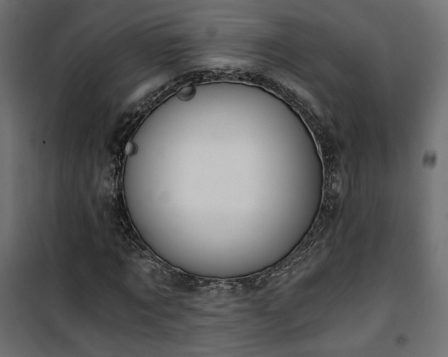 X0000101440869200807141304