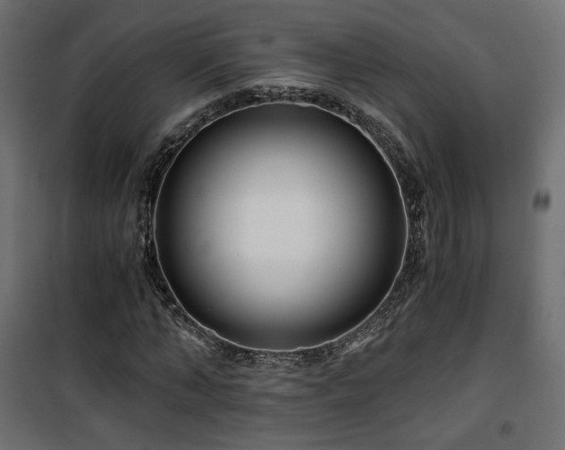 X0000101440870200807141304