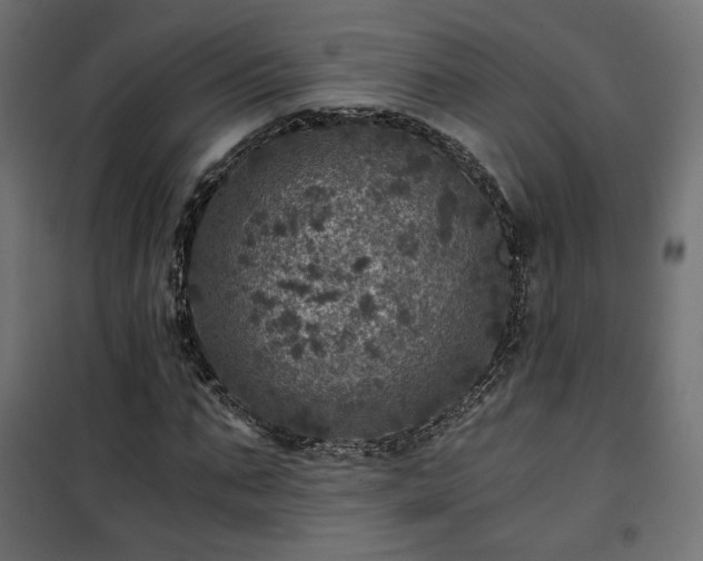 X0000101440871200807141304