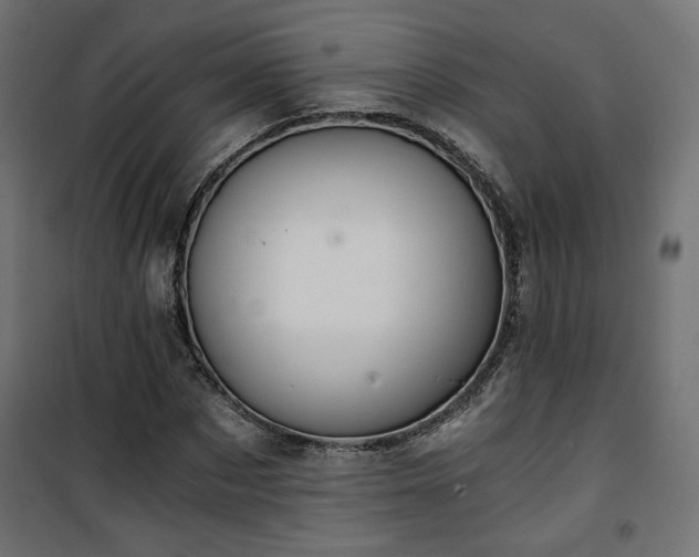 X0000101440873200807141304