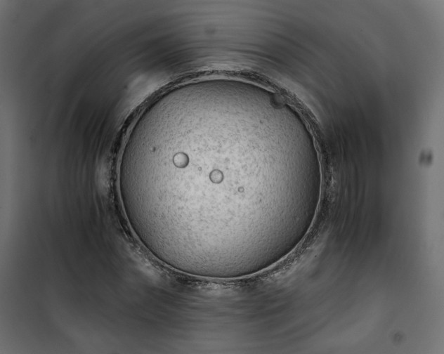 X0000101440874200807141304