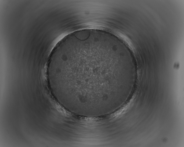 X0000101440875200807141303